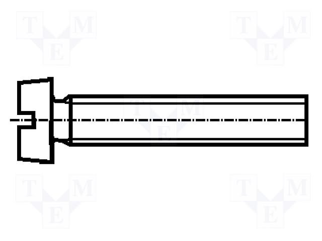 Skrūve M2.0*30mm, taisns šlics, tērauds, cilindriska galviņa, cinkots