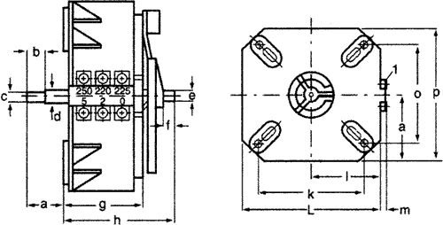 Regulējams autotransformators, 230VAC, Uout:1÷250V, 4A, 3.7kg, Pēc iepriekšēja pasūtījuma