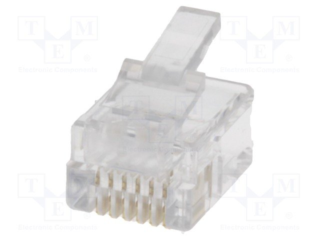 RJ12(6/6) spraudnis, CRIMP